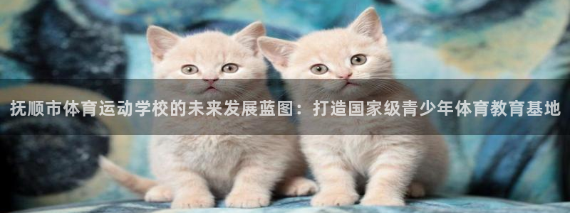 抚顺市体育运动学校的未来发展蓝图：打造国家级青少年体育教育基地