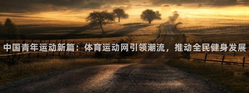 中国青年运动新篇：体育运动网引领潮流，推动全民健身发展
