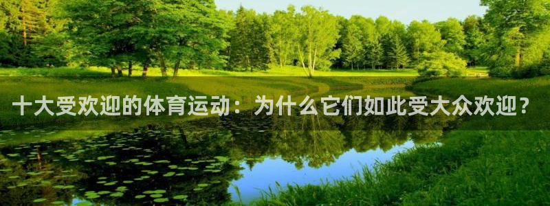 十大受欢迎的体育运动：为什么它们如此受大众欢迎？