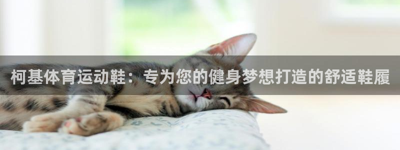 柯基体育运动鞋：专为您的健身梦想打造的舒适鞋履