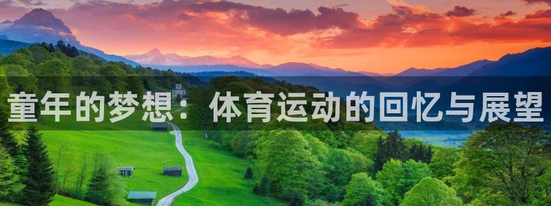 童年的梦想：体育运动的回忆与展望
