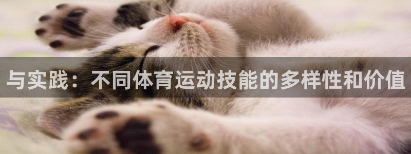 与实践：不同体育运动技能的多样性和价值