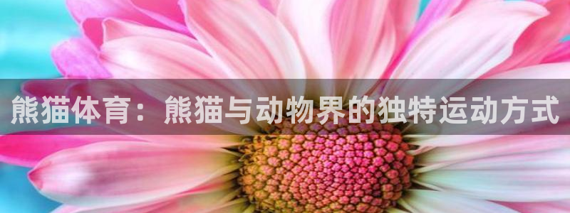 熊猫体育：熊猫与动物界的独特运动方式