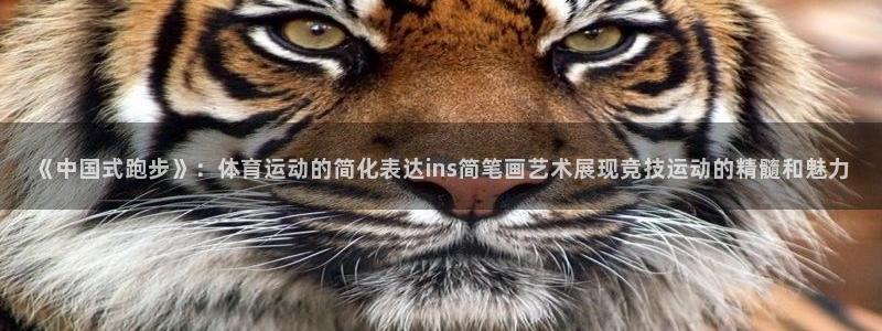 《中国式跑步》：体育运动的简化表达ins简笔画艺术展现竞技运动的精髓和魅力
