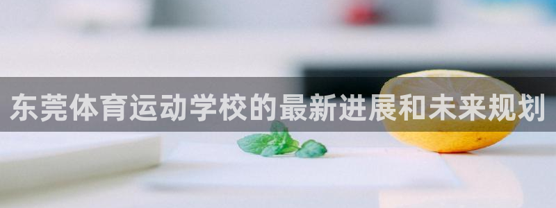 东莞体育运动学校的最新进展和未来规划