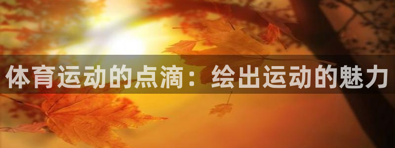 体育运动的点滴：绘出运动的魅力