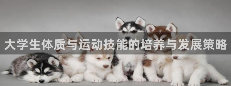 大学生体质与运动技能的培养与发展策略