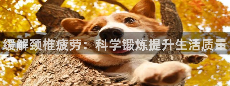 缓解颈椎疲劳：科学锻炼提升生活质量