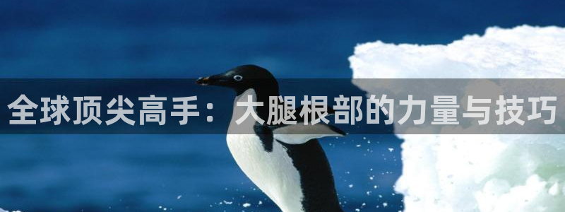 全球顶尖高手：大腿根部的力量与技巧