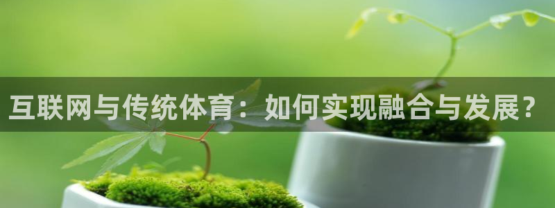 互联网与传统体育：如何实现融合与发展？