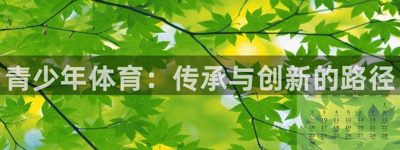 青少年体育：传承与创新的路径