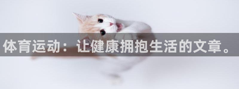 体育运动：让健康拥抱生活的文章。